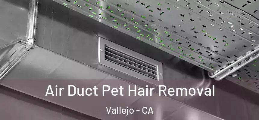 Air Duct Pet Hair Removal Vallejo - CA