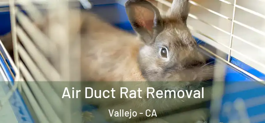 Air Duct Rat Removal Vallejo - CA
