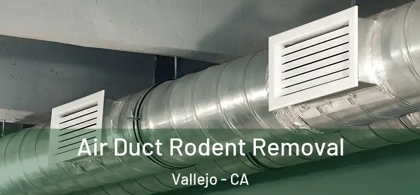Air Duct Rodent Removal Vallejo - CA