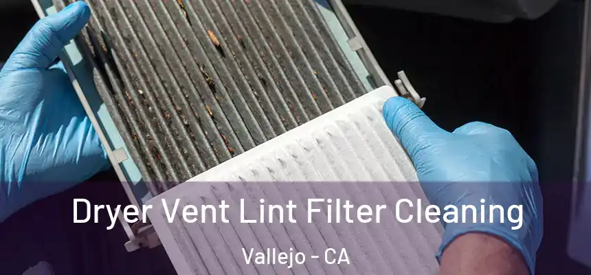 Dryer Vent Lint Filter Cleaning Vallejo - CA