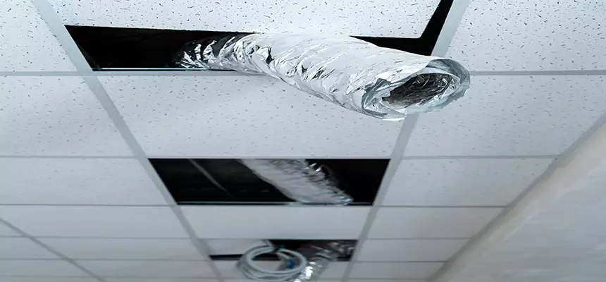 Affordable HVAC Sanitizing After Pest Removal in Vallejo