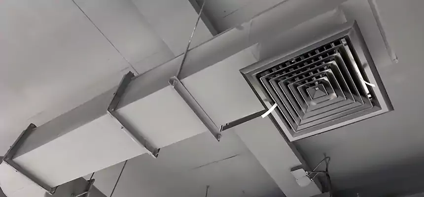 Our Pest Removal From Ducts Services in Vallejo, CA