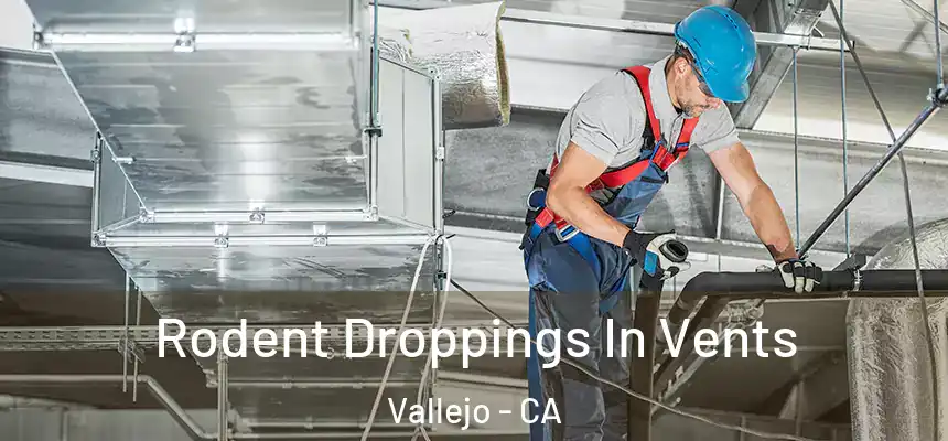 Rodent Droppings In Vents Vallejo - CA