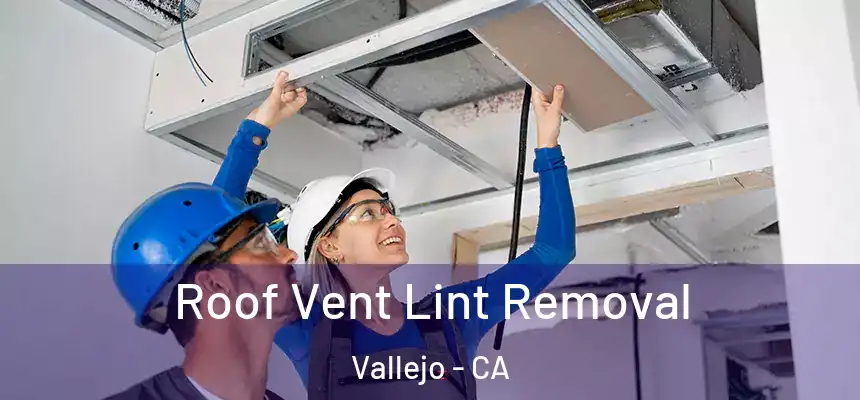 Roof Vent Lint Removal Vallejo - CA