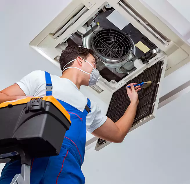 Why Homeowners & Businesses Trust Us in Vallejo, CA