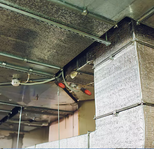 Why Homeowners & Businesses Trust Us Vallejo, CA?