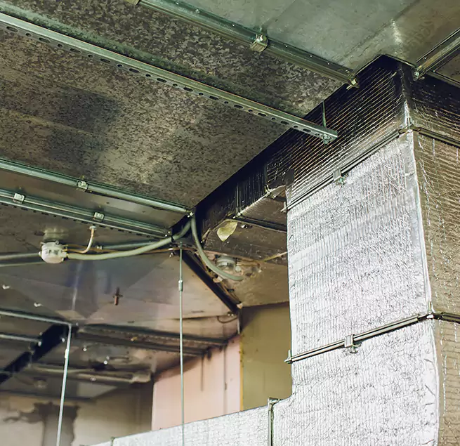 Why Homeowners & Businesses Trust Us in Vallejo, CA?